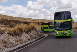 Autobús Cama Directo Puno Cusco