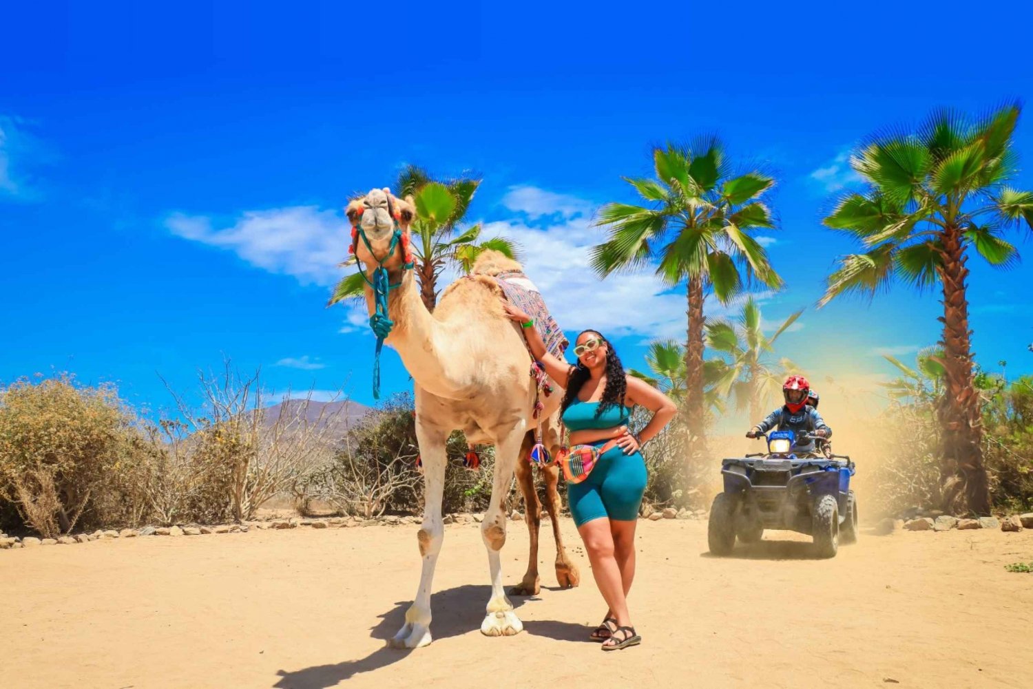 Cabo Adventure Combo: Camel Ride, ATV, and Mexican Lunch