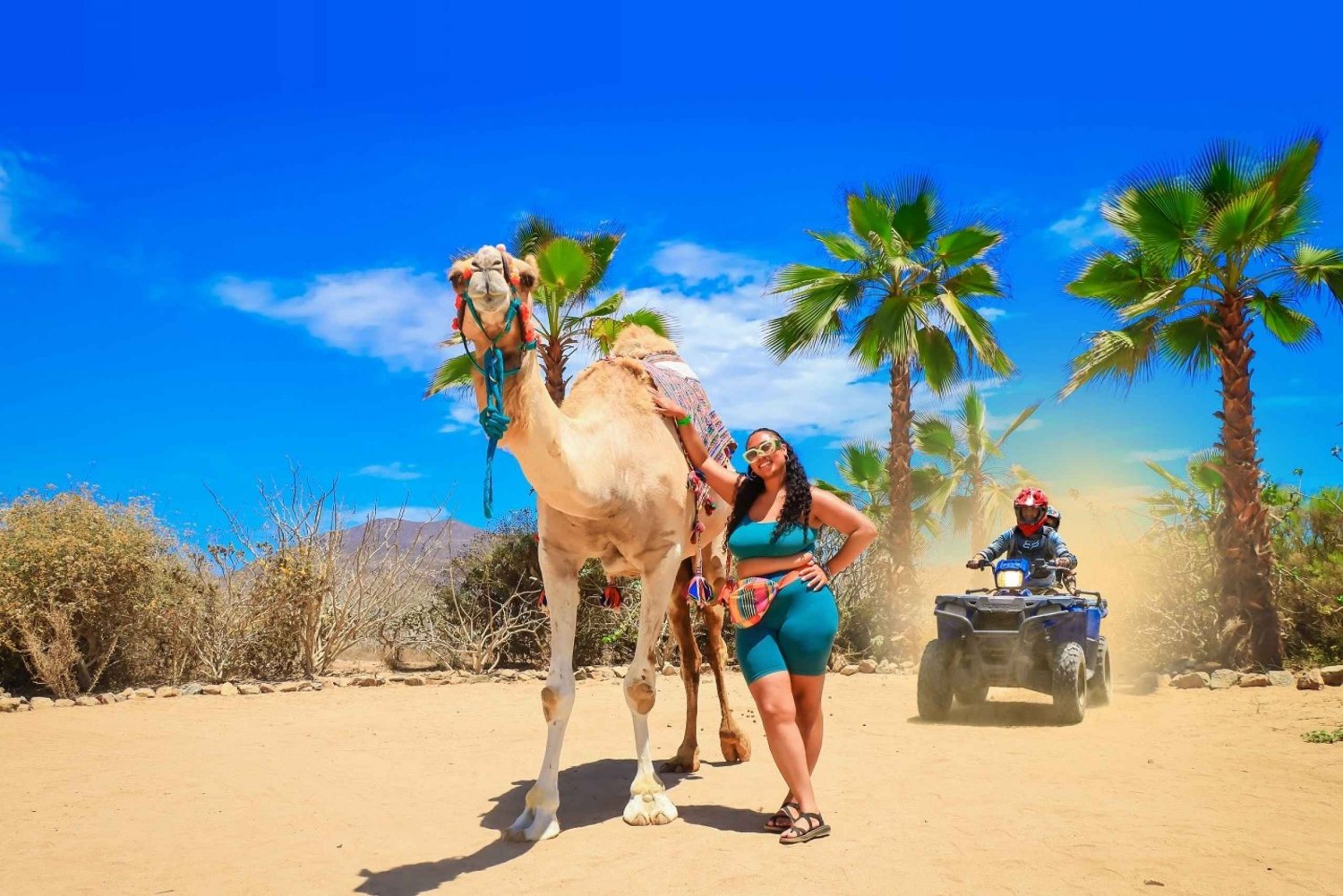 Cabo: Combo de ATV, Paseo en Camello, Comida Mexicana y Tequila
