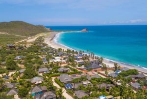 Parque Marino de Cabo Pulmo: Excursión de Buceo