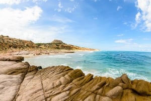 Parque Marino de Cabo Pulmo: Excursión de Buceo