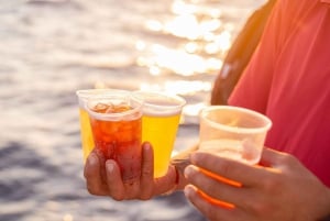 Cabo San Lucas: Crucero de 2 horas al atardecer con comida y vino