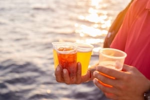 Cabo San Lucas: Crucero de 2 horas al atardecer con comida y vino