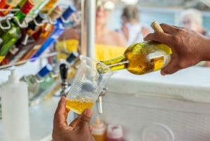 Cabo San Lucas: Crucero de 2 horas al atardecer con comida y vino