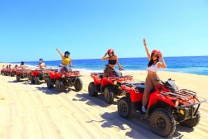 Cabo San Lucas: Camel Ride & Off-Road UTV Combo Adventure