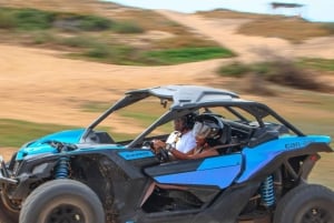 Cabo San Lucas: Camel Ride & Off-Road UTV Combo Adventure