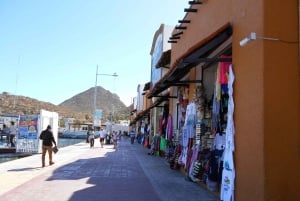 Cabo San Lucas: City Tour and Beach Day