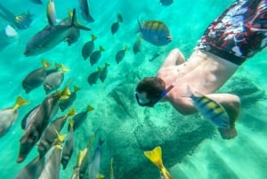 Cabo San Lucas: City Tour and Beach Day