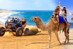 Cabo San Lucas: Combo Camel Ride & Off-Road UTV Adventure