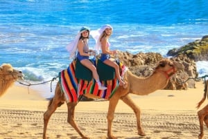 Cabo San Lucas: Combo Camel Ride & Off-Road UTV Adventure