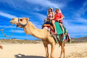 Cabo San Lucas: Combo Camel Ride & Off-Road UTV Adventure