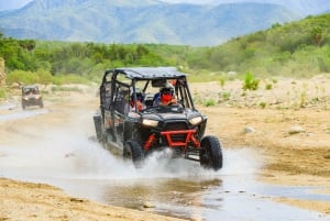 Cabo San Lucas: Combo de paseo en camello y aventura en UTV todoterreno