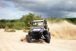 Cabo San Lucas: Combo de paseo en camello y aventura en UTV todoterreno