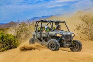 Cabo San Lucas: Combo de paseo en camello y aventura en UTV todoterreno