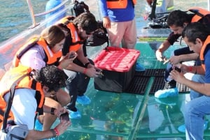 Cabo San Lucas: Glass-Bottom Boat Cruise and Tequila Tasting