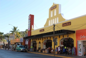 Cabo San Lucas: Glass-Bottom Boat Cruise and Tequila Tasting