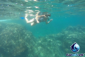 Cabo San Lucas Private and Shared Snorkeling Tour