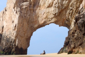 Cabo San Lucas Private and Shared Snorkeling Tour