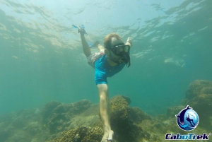Cabo San Lucas Private and Shared Snorkeling Tour
