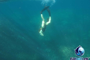 Cabo San Lucas Private and Shared Snorkeling Tour