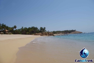 Cabo San Lucas Private and Shared Snorkeling Tour