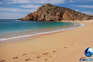 Cabo San Lucas Private and Shared Snorkeling Tour