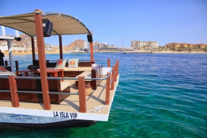 Cabo San Lucas: Private Catamaran Tour with Snorkeling