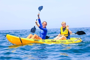 Cabo San Lucas: Snorkel, Paddle-board, and/or Kayak Tour