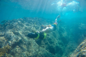 Cabo San Lucas: Snorkel, Paddle-board, and/or Kayak Tour
