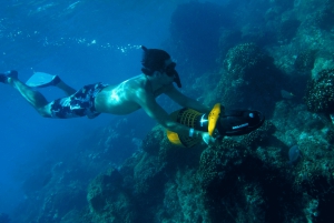 Cabo San Lucas: Snorkel, Paddle-board, and/or Kayak Tour