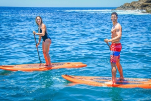 Cabo San Lucas: Snorkel, Paddle-board, and/or Kayak Tour