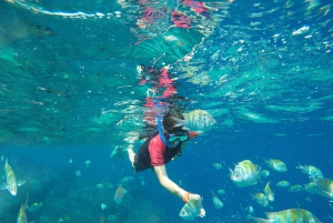 Cabo San Lucas: Snorkel, Paddle-board, and/or Kayak Tour