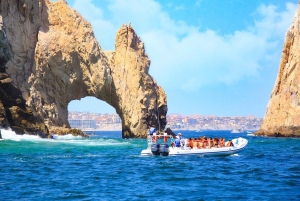 Cabo San Lucas: Snorkel, Paddle-board, and/or Kayak Tour