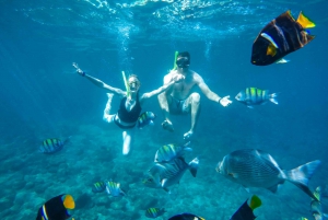 Cabo San Lucas: Snorkel Tour with Open Bar & Snacks