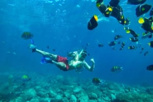 Cabo San Lucas: Snorkel Tour with Open Bar & Snacks