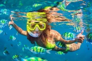 Cabo San Lucas: Snorkel Tour with Open Bar & Snacks