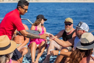 Cabo San Lucas: Snorkeling & Boat Trip with Open Bar