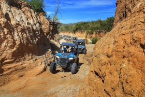 Cabo: UTV Off-Roading, Mexican Lunch, and Tequila