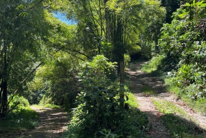 Caguas: Waterfall and Cave Adventure