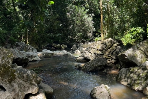 Caguas: Aventura en cascadas y cuevas