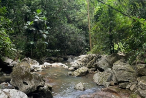 Caguas: Waterfall and Cave Adventure