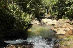 Caguas: Waterfall and Cave Adventure