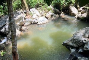 Caguas: Waterfall and Cave Adventure