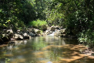 Caguas: Aventura en cascadas y cuevas