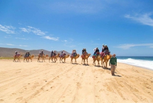 Camel Ride and extreme UTV combo tour with Tequila Tasting