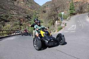 Can-Am Ryker Adventure