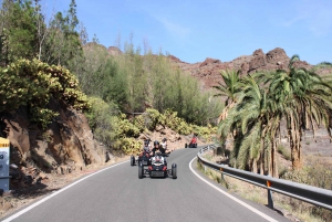 Can-Am Ryker Adventure Grand Tour