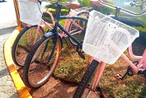 Cancún: Bicycle rental