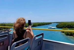 Cancun: City Tour on a sightseeing bus