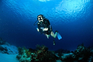 Underwater Museum : Discover Scuba Diving Experience